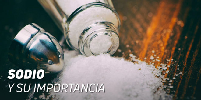 La Importancia del Sodio