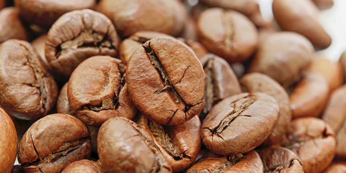 Granos de café como fuente de cafeína Granos de café como fuente de cafeína