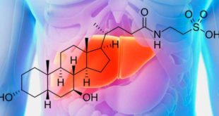 TUDCA o Ácido Tauroursodeoxicólico: Protector Hepático