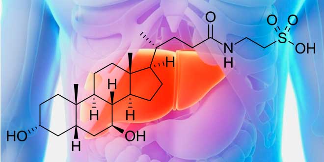 TUDCA o Ácido Tauroursodeoxicólico: Protector Hepático TUDCA o Ácido Tauroursodeoxicólico: Protector Hepático