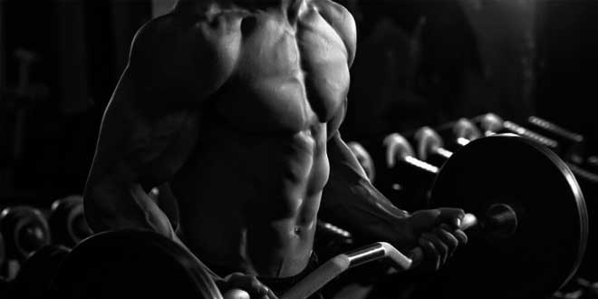 Entrenamiento fuerza