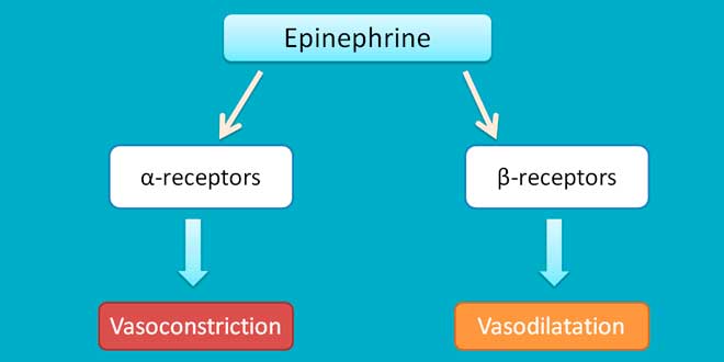 epinefrina