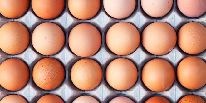 Tipos de Huevos de Gallina en el Mercado