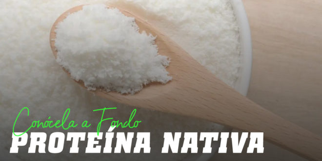 Qué es la proteína de suero nativa y cuáles son sus beneficios Qué es la proteína de suero nativa y cuáles son sus beneficios
