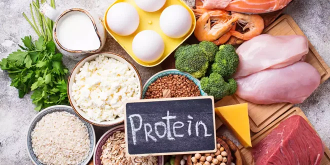 ¿Cuál es la Cantidad Óptima de Proteína para Ganar Músculo? ¿Cuál es la Cantidad Óptima de Proteína para Ganar Músculo?