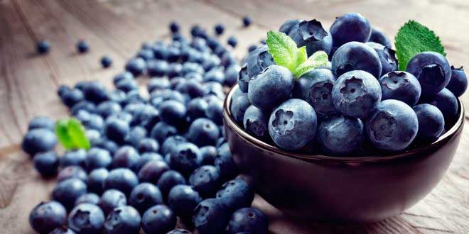 Alimentos Antiinflamatorios: Arándonos Arándanos