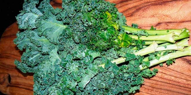 Alimentos Antiinflamatorios: Col rizada Col rizada o kale