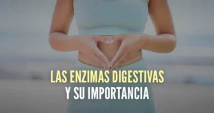 Las Enzimas Digestivas y su Importancia