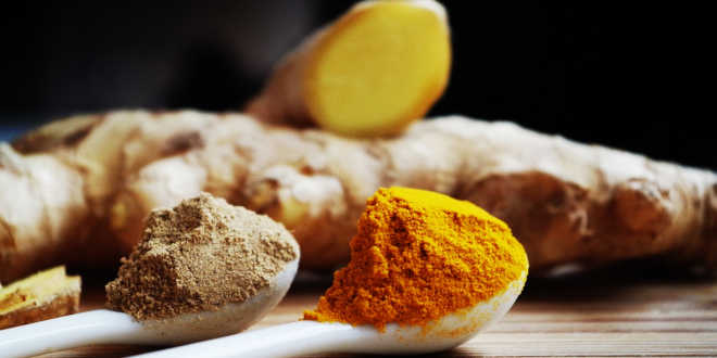 Jengibre propiedades Jengibre propiedades