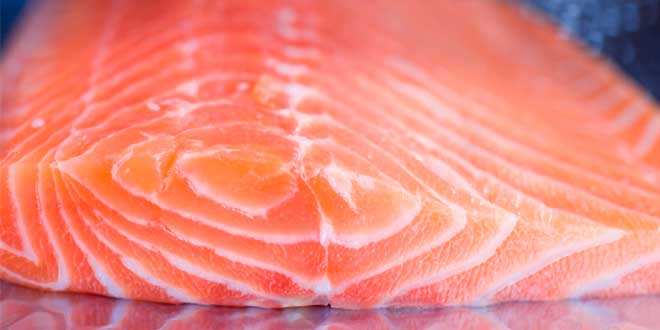 Alimentos Antiinflamatorios: Pescado Azul Pescados azules inflamación