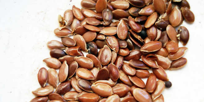 Propiedades semillas de lino Propiedades semillas de lino