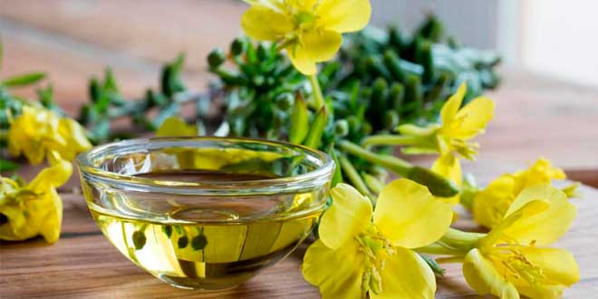 Aceite de Onagra: Conócelo a Fondo