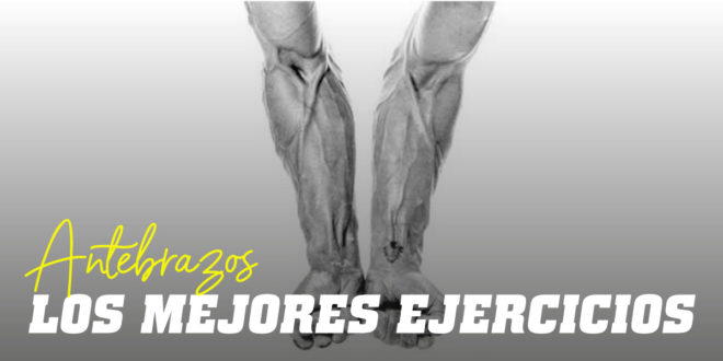 Los Mejores Ejercicios para Antebrazos