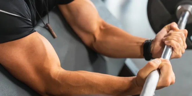 Los Mejores Ejercicios para Antebrazos Los Mejores Ejercicios para Antebrazos