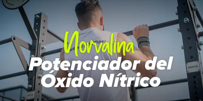 ¿Qué propiedades tiene la Norvalina para tu salud? ¿Qué propiedades tiene la Norvalina para tu salud?