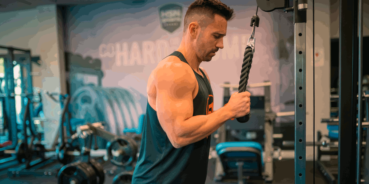 Ejercicios para Bíceps y Tríceps ¿Cuáles son los MEJORES?