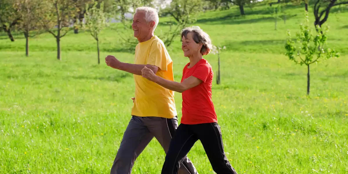 Casal sénior a caminhar pelo prado