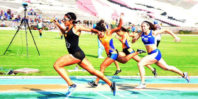 Fibres rapides et résultats sportifs