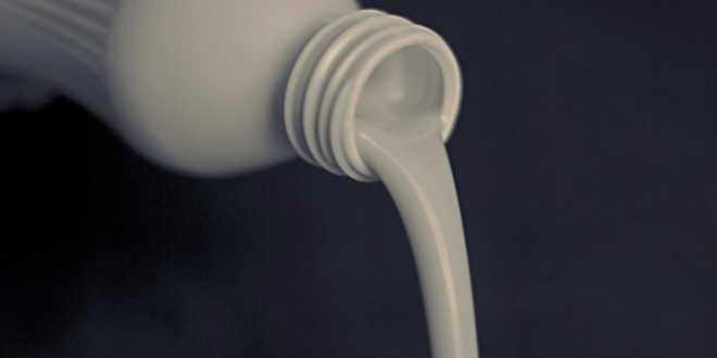 Alimentos ricos en Calcio