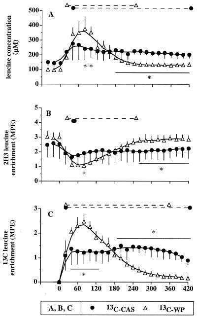 Leucine concentrations in plasma