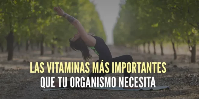 Las 5 vitaminas más importantes que tu organismo necesita Las 5 vitaminas más importantes que tu organismo necesita