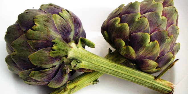 Prebióticos: Beneficios y Propiedades