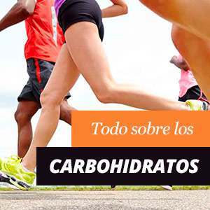 Qué son los carbohidratos