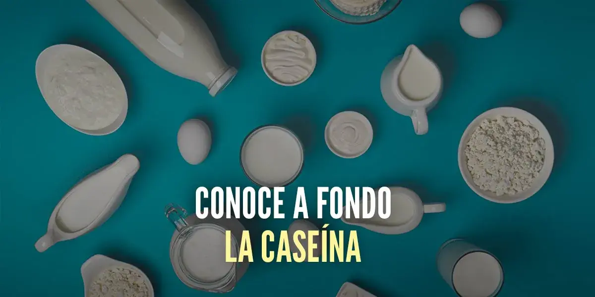 ¿Qué es la Caseína Micelar y cuáles son sus Beneficios?