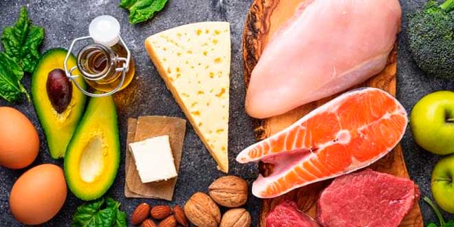 Dieta Alta en Grasa