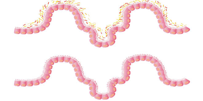 Rica Flora Intestinal