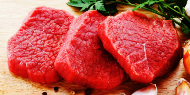 can i use l carnitine for weight loss L-Carnitina: Qué es, Propiedades, Cómo actúa 2026