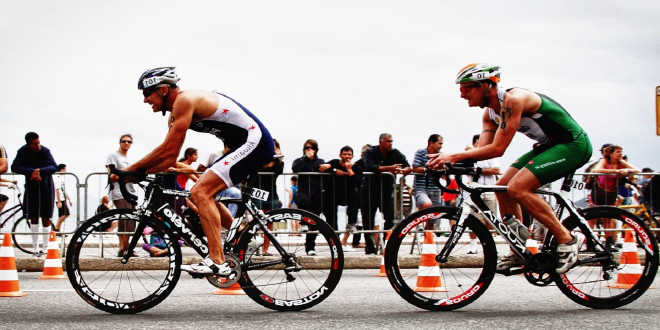 Función Carbohidratos