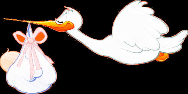 Llegada de bebe necesidades de la mama