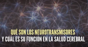 Red de neuronas y neurotransmisores