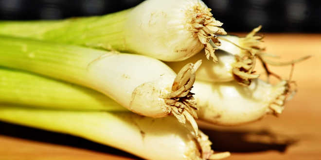 Aliments Prébiotiques