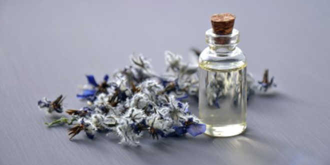 Aceite de Borraja – Aliado para la salud de la piel madura