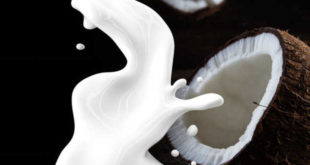 Fuentes de ácido caprílico