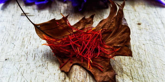 Ingrediente azafrán bulbo crocus sativus