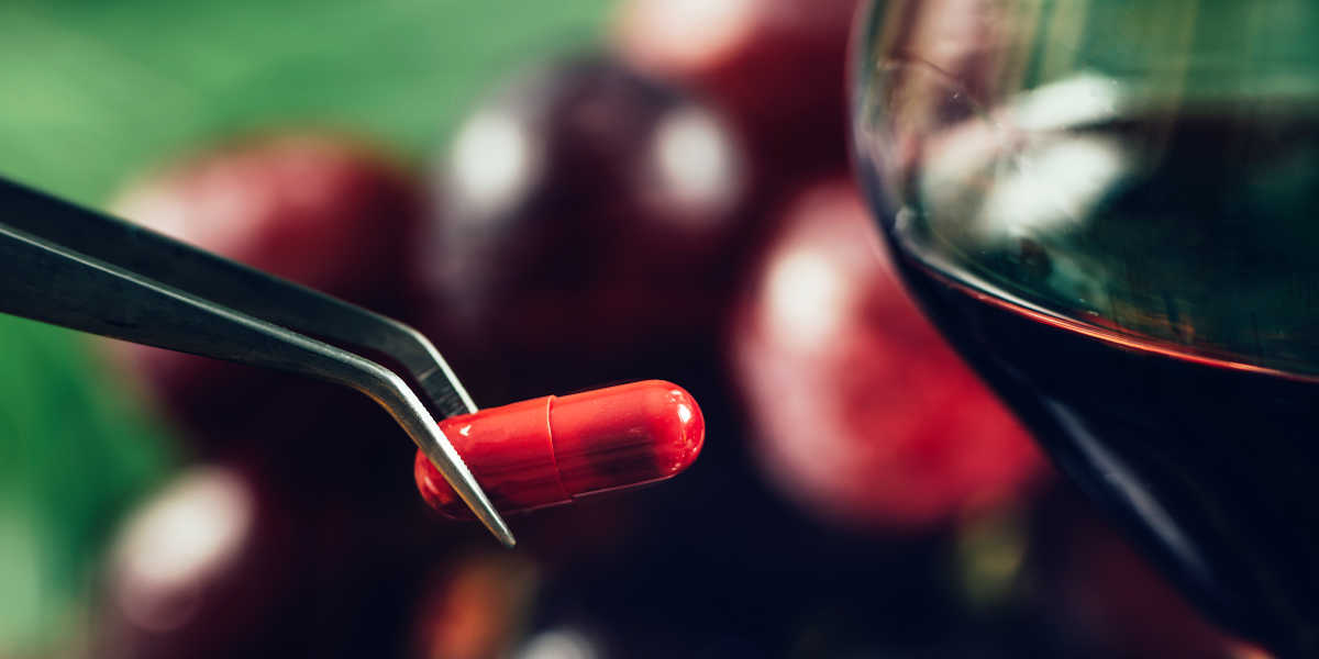 What is the main natural source of resveratrol?