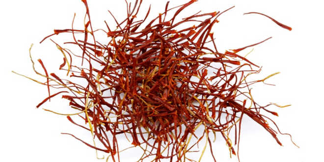 Crocus sativus o azafrán