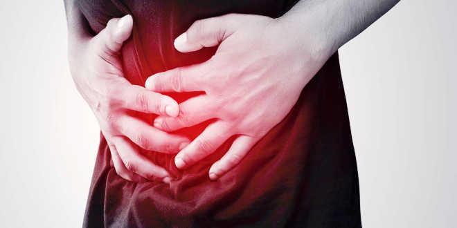 ¿Cómo se destruye la flora intestinal?