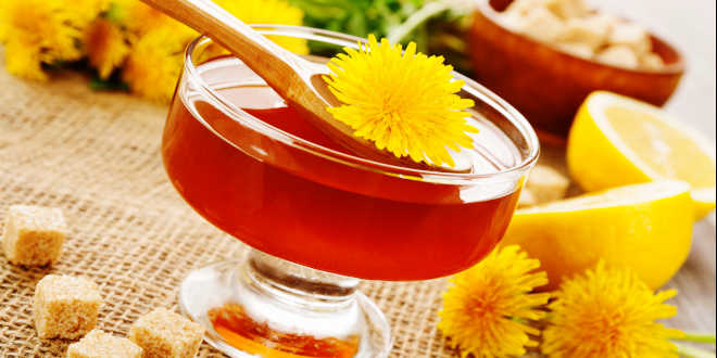 Infusion de pissenlit