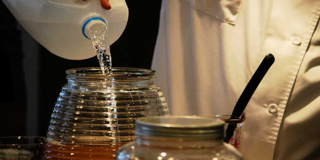 Elaboración kombucha