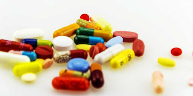 Sistema inmune equinácea