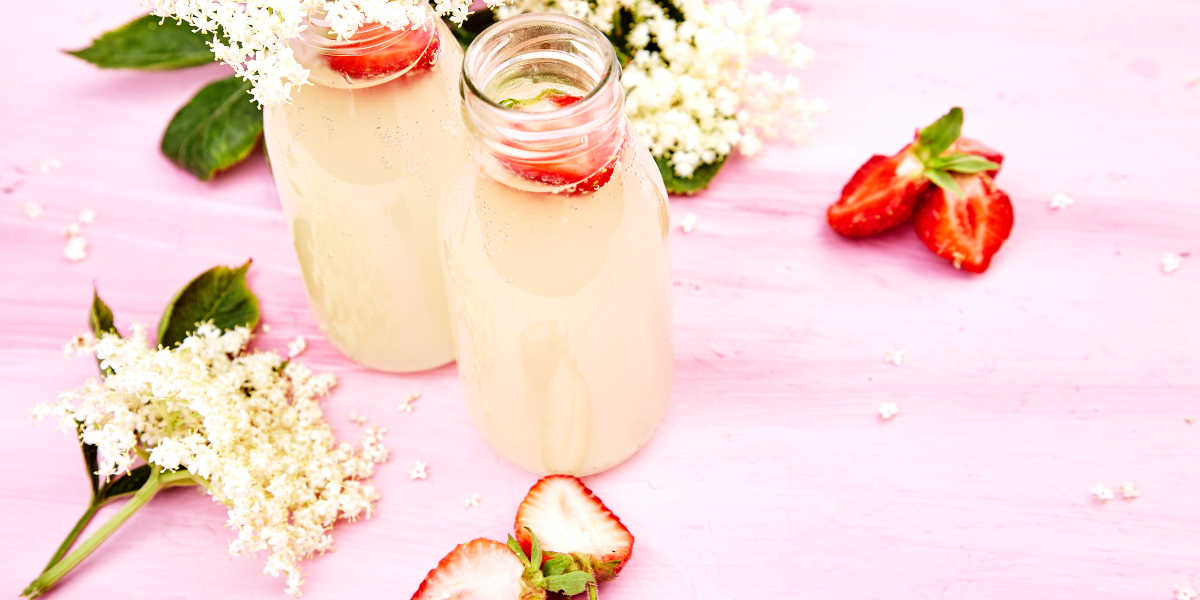 ¿Con qué puedes combinar la Kombucha?