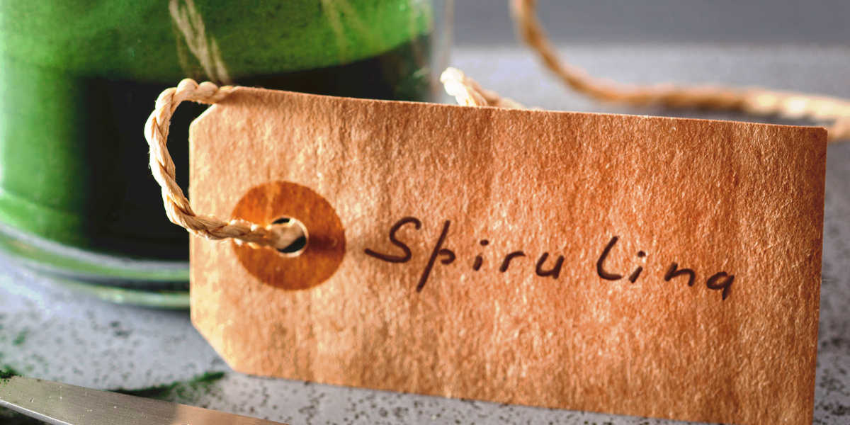 Wofür ist Spirulina gut?