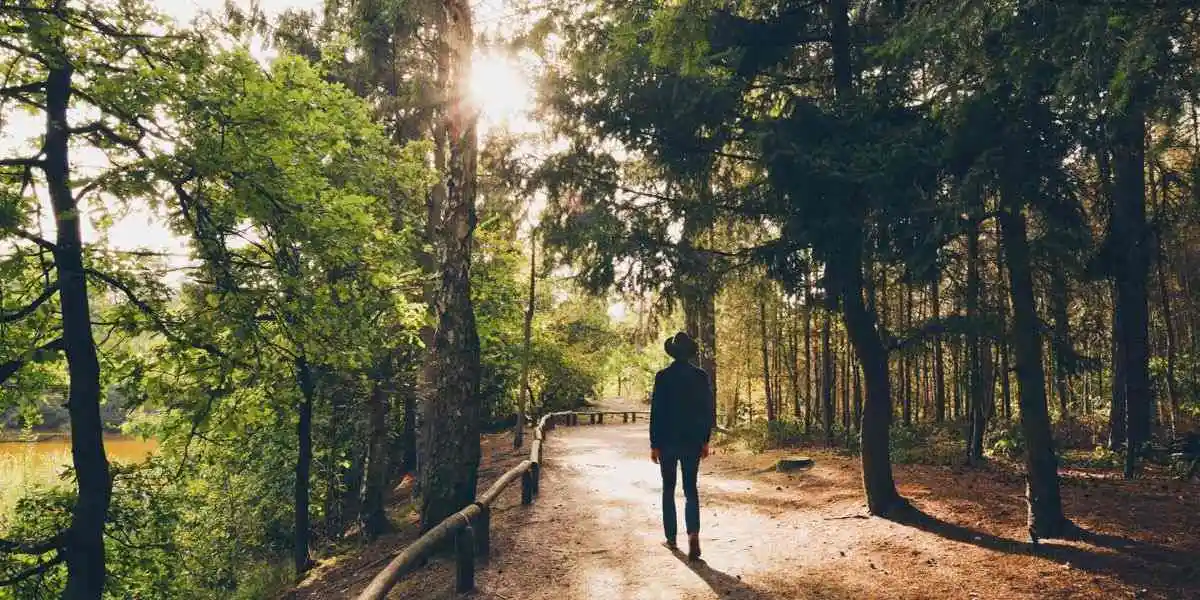 Homem a dar um passeio pela natureza para libertar stress Homem a dar um passeio pela natureza para libertar stress