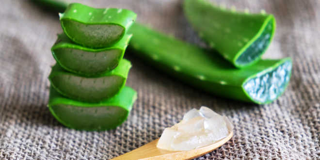 Propiedades Aloe Vera