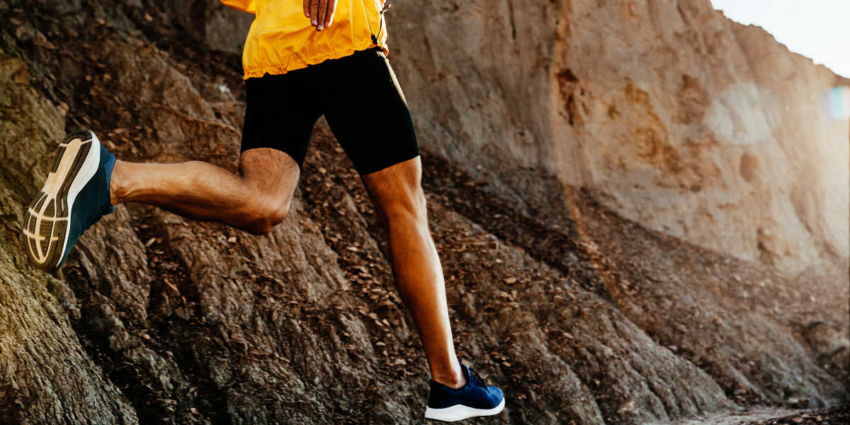 How does resveratrol help with weight loss?