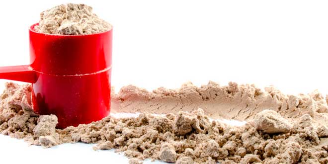 Proteina en polvo